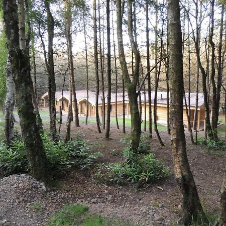 Wyldwood Lodge Чийдъл Екстериор снимка